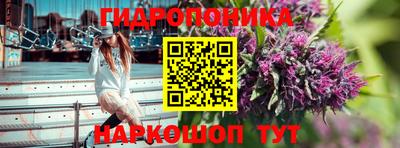 индика Краснознаменск