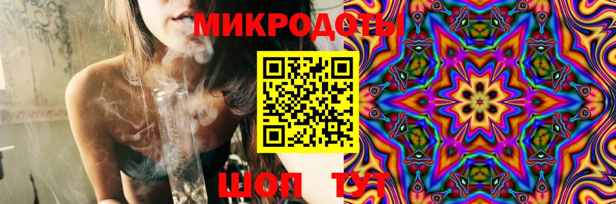 Псилоцибиновые грибы Psilocybe  Вход с VPN  что такое   Шатура 
