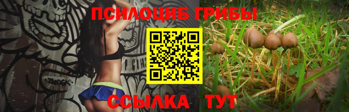 Галлюциногенные грибы ЛСД Шатура