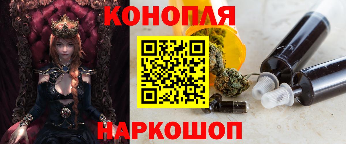 Конопля сатива Шатура
